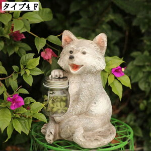 \[[K[fCg IuWF I[ig CeAIuWF \[[[d G \[[I[ig A[g 뉀 LED u ZT[Cg K[fjO u 