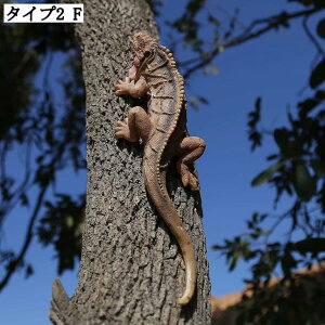 K[fI[ig K[fjOu IuWF  CR  { 뒤̑ IVȒu ObY ɒu̒u W K[fG ւɂu