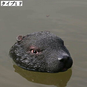 K[fI[ig ̒u Aj}IuWF K[fjOG CeA Op i AłȒu G ̑ K[fpfR[V ^