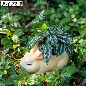 Aؔ K[fIuWF t[|bg  z[K[f Aj}IuWF ACe ̕i AeB[N K[fjOu g AqG ގ ̃IuWF 