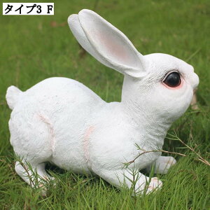 ^ETM K[fI[ig K[fjOG u O뒤 CeAG  z[K[f  fBXvC ObY AETM|W K[f 