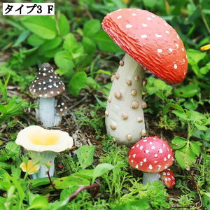 {LmRu Jg[I[ig AeB[NK[fI[ig O z[K[f̃ANZT[ ̒u ^Cv1 ^Cv2  tBMA K[f