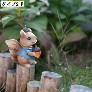 ETM u K[fI[ig k Jg[ K[fIuWF  CeAG e̒u J{` f fBXvC 뒤 A[g IVȒu K[fjO