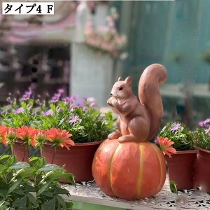 ETM u K[fI[ig k Jg[ K[fIuWF  CeAG e̒u J{` f fBXvC 뒤 A[g IVȒu K[fjO