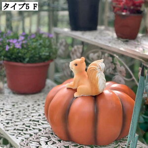 ETM u K[fI[ig k Jg[ K[fIuWF  CeAG e̒u J{` f fBXvC 뒤 A[g IVȒu K[fjO