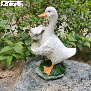 K[fI[ig Aqu Jg[ CeAG Vzj v[g K[fjOG Aq ȃK[f O  K[f ObY  ̏ 