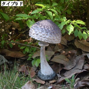 K[f u Aj} IuWF K[fjO CeA 뒤 n L  A  O AEghA  Mtg v[g G K[fjOObY 