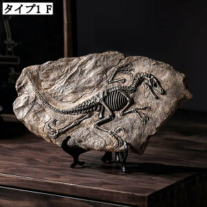 CeA AeB[N u  fR[V f IV u  g   IuWF ̒u tBMA K[fI[ig A