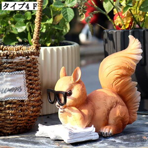  JG K[fjOu K[fI[ig ̒u GNXeA  CeAG fBXvC u Aj}IuWF 둕 K[fG ybg v[