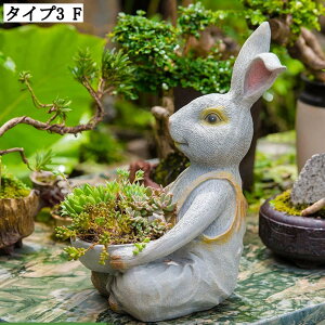  u AeB[N CeAG t[|bg T{e t[X^hO z[K[f fR[V  u ObY K[fIuWF K[