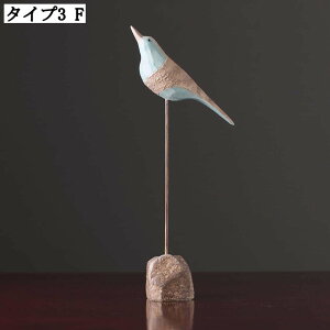 CeA u K[fjO    _ ObY z[fR[V NGCeBu ̃CeA AȒ ގ  fR[V Wp Aj}Iu