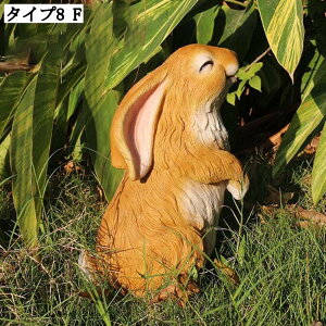 ETM u   CeAG  k G  i K[fjO F { 傫  IuWF z[K[f K[fjOG  I[ig I