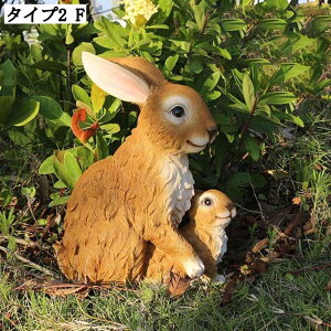 ETM u   CeAG  k G  i K[fjO F { 傫  IuWF z[K[f K[fjOG  I[ig I