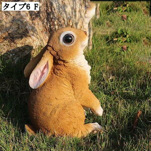 ETM u   CeAG  k G  i K[fjO F { 傫  IuWF z[K[f K[fjOG  I[ig I