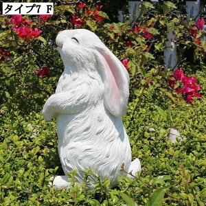 ETM u   CeAG  k G  i K[fjO F { 傫  IuWF z[K[f K[fjOG  I[ig I