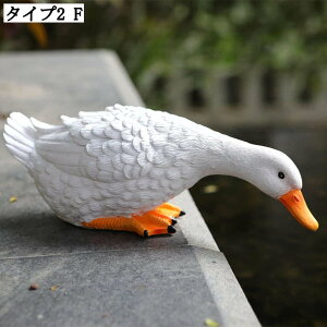 Aq u K[fI[ig AeB[N  G 킢 a v[g AEghA fR[V  O  K[f  g zCg_bN