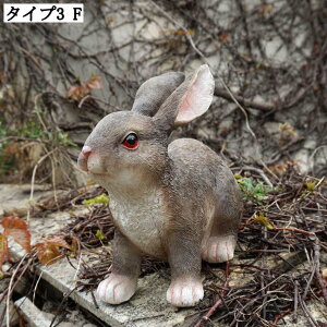 ETM tBMA u AeB[N Aj} fBXvC 킢 ObY eu Aj}IuWF K[fI[ig ޗ Op 蕨 ẽCeA   