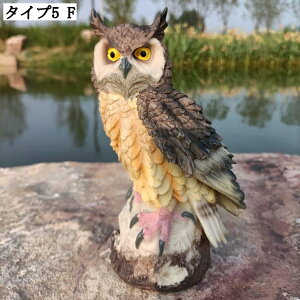 u tNE K[f IuWF K[fjO f G悯 A  J^ Aj}IuWF CeA K[fI[ig   J^ObY CeA tN