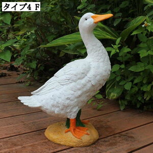 AAq tBMA CeA K[fI[ig A 蕨 ^  O u K[fjOG K[f 킢 I[ig fR[V 