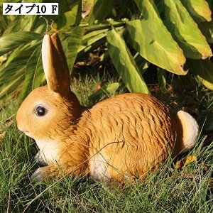 e u x z[K[f fBXvC  I[ig A K[fjO ObY  K[fIuWF | CeA O IVȒu K[fjOG 