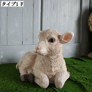 Ђ̒u r V[v u I[ig O I K[f IuWF K[fjO  CeA A er   |   G