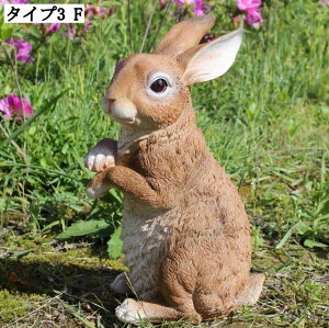  u K[fI[ig |W K[fjO  IuWF A { NX}X v[g   ^Cv rO Ő 炵 ̒ AeB[N