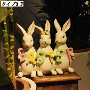 e̒u  CeAG k ETM̒  ƒp K[f AfUC ^ j v[g Mtg Op fR[V  Aj}IuWF 