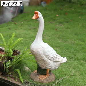 K[fI[ig u Aq 킢 v[g O AȃAq fR[V K[fjOG K[fIuWF CeA AEghA ▭ȃfUC  |