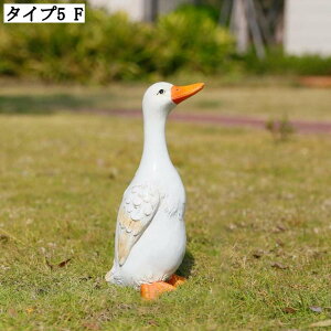 K[fI[ig u Aq 킢 v[g O AȃAq fR[V K[fjOG K[fIuWF CeA AEghA ▭ȃfUC  |