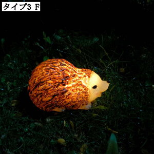 \[[Cg K[fCg O h ^  tNE C~l[V K[fI[ig _ K[fjOIuWF Ə Mtg v[g z ZT[ 