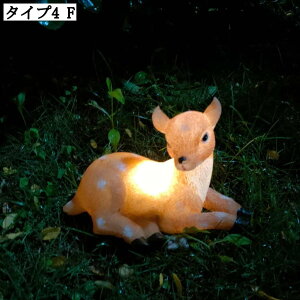 \[[Cg K[fCg O h ^  tNE C~l[V K[fI[ig _ K[fjOIuWF Ə Mtg v[g z ZT[ 