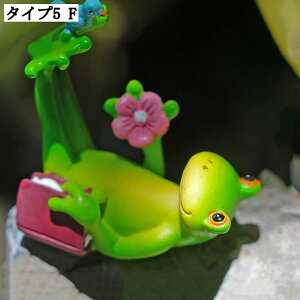 u JG uK[fIuWF ^u ʔG   CeAG gC蕨 kG K[fI[ig A蕨 L[g 킢^G h ϋv J