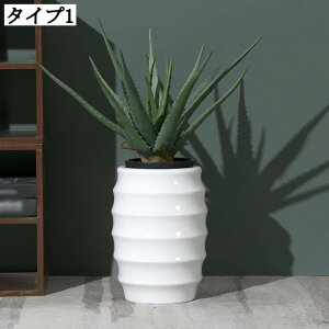pv^[ T{e|bg Apvg|bg [ t[x[X v^[ 픫 Aؔ 17*27cm AeB[N ꌊL Op eʂՂ ϗtA A