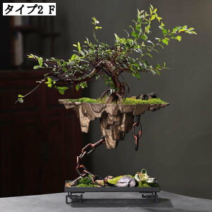 v^[|bg Op T{e Ap ȓ픫 AeB[N [ t[|bg CeA Z~bN g  ϗtAp A|bg [f