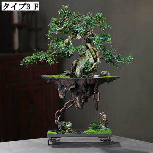 v^[|bg Op T{e Ap ȓ픫 AeB[N [ t[|bg CeA Z~bN g  ϗtAp A|bg [f