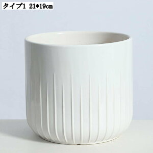 ~` v^[ gCt 21*19cm Apvg|bg rEt CeA t[|bg T{e|bg ȐAؔ k ؂ǂ ϗtA [^ pv^