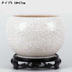  v^[ T{e 񂲌^ gCt   e t[|bg 19*17cm r@\t A|bg Op ϗtAAؔ ^Aؔ [^ | p