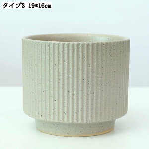 p픫 ʋCǍD ȊϗtAp 19*16cm T{e ^ [^ ~` t[|bg r@\t K[fjO K[fI[ig X^CbV CeA A