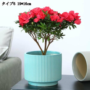 p픫 ʋCǍD ȊϗtAp 19*16cm T{e ^ [^ ~` t[|bg r@\t K[fjO K[fI[ig X^CbV CeA A