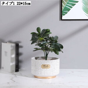 �����p�v�����^�[ �A���p�|�b�g �ꌊ�L �[�^ �A���e�B�[�N ���픫 �T�{�e���� �A�ؔ� ������ ���|�� �����A���|�b�g ���t�� �ϗt�A�� 22*15cm �� �K�[�f�j���O�p�i ���؂�ǂ� ������ �k���� 