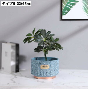 pv^[ Ap|bg ꌊL [^ AeB[N 픫 T{e Aؔ  | A|bg t ϗtA 22*15cm  K[fjOpi ؂ǂ  k 