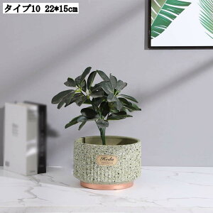 pv^[ Ap|bg ꌊL [^ AeB[N 픫 T{e Aؔ  | A|bg t ϗtA 22*15cm  K[fjOpi ؂ǂ  k 