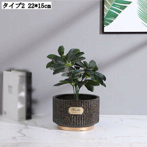 pv^[ Ap|bg ꌊL [^ AeB[N 픫 T{e Aؔ  | A|bg t ϗtA 22*15cm  K[fjOpi ؂ǂ  k 