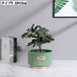 �����p�v�����^�[ �A���p�|�b�g �ꌊ�L �[�^ �A���e�B�[�N ���픫 �T�{�e���� �A�ؔ� ������ ���|�� �����A���|�b�g ���t�� �ϗt�A�� 22*15cm �� �K�[�f�j���O�p�i ���؂�ǂ� ������ �k���� 