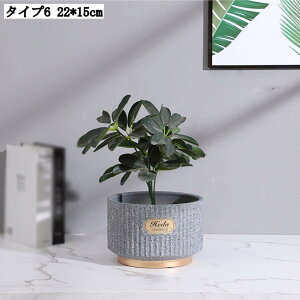 pv^[ Ap|bg ꌊL [^ AeB[N 픫 T{e Aؔ  | A|bg t ϗtA 22*15cm  K[fjOpi ؂ǂ  k 