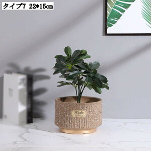 pv^[ Ap|bg ꌊL [^ AeB[N 픫 T{e Aؔ  | A|bg t ϗtA 22*15cm  K[fjOpi ؂ǂ  k 