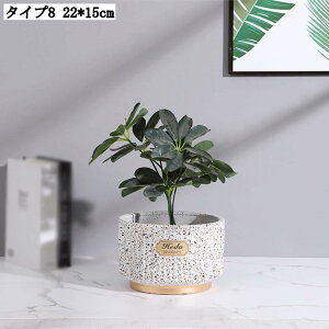 pv^[ Ap|bg ꌊL [^ AeB[N 픫 T{e Aؔ  | A|bg t ϗtA 22*15cm  K[fjOpi ؂ǂ  k 