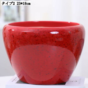 pv^[ Mt K[f|bg T{e Ap e ȐAؔ CeA 23*18cm ؂ǂ Apvg|bg w̍Aؔ zԗp yڂ