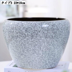 pv^[ Mt K[f|bg T{e Ap e ȐAؔ CeA 23*18cm ؂ǂ Apvg|bg w̍Aؔ zԗp yڂ