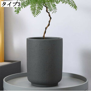 ϗtA T{e |gX  ؂ǂ ItBX CeA Aؔ A|bg |pi 픫 v^[|bg Aؔ Aؔ  㑕 16*20cm v^[ 